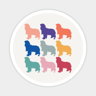 King Charles Cavalier Spaniel Rainbow Color Dogs Magnet